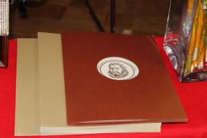 20 let MepZ DU MIrna, foto JSKD OI Trebnje (1)